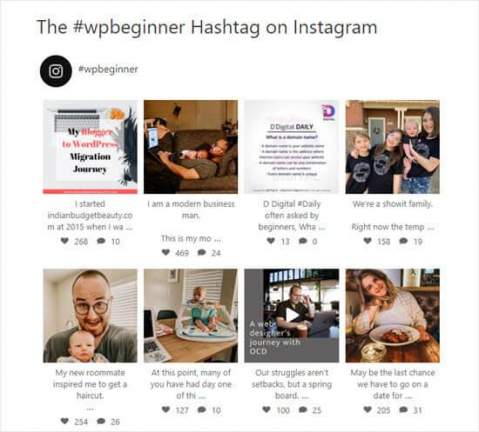 feed