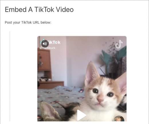 ticktap