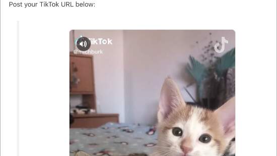 ticktap