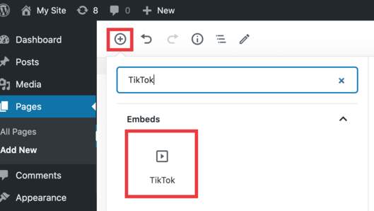“TikTok”