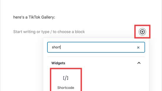 shortcode widget