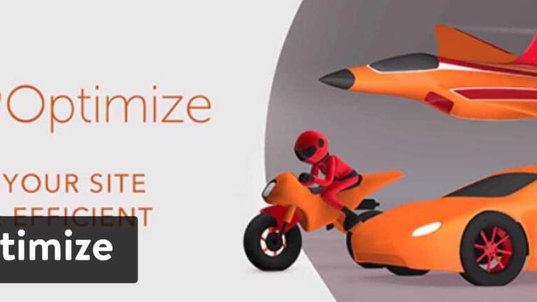 WP-Optimize*