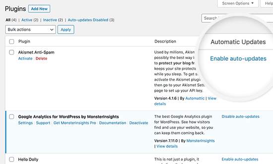 Auto updates for themes and plugins