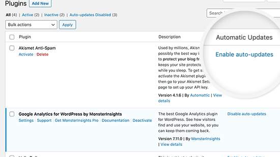 Auto updates for themes and plugins