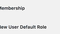 default user role