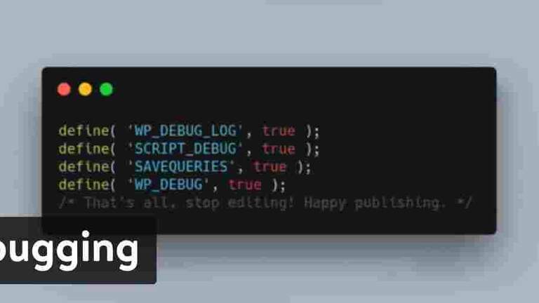 WP debug plugin