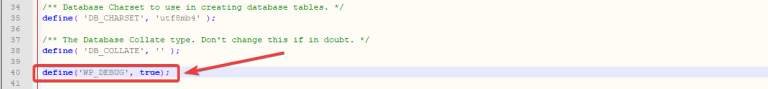 Enter Debug Mode