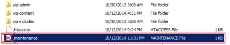Deleting the .maintenance file