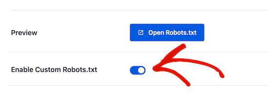 Custom Robots.txt toggle