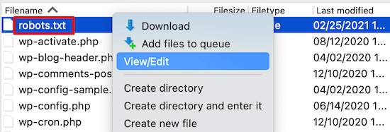 FTP to edit the robots.txt file manually