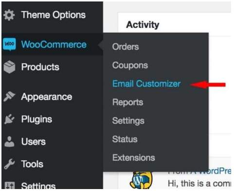 theme options