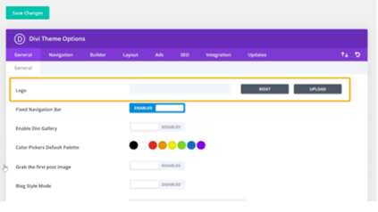 divi theme options