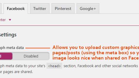 Yoast-Social-Meta-Data