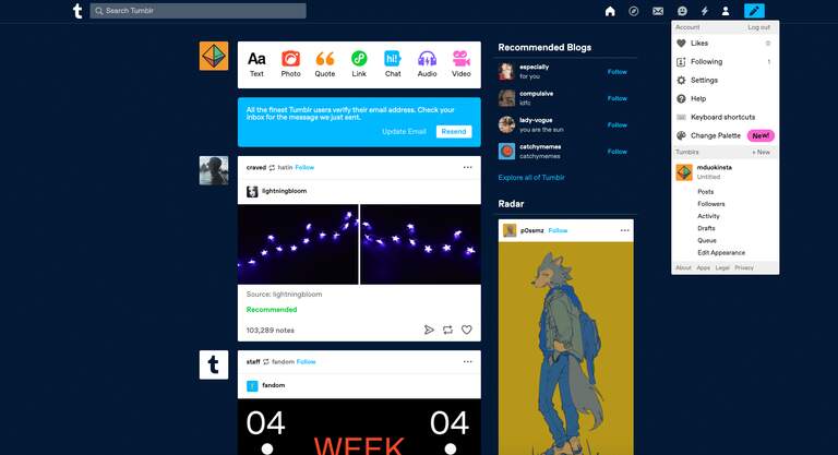 tumblr-dashboard-1
