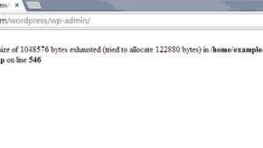memory error