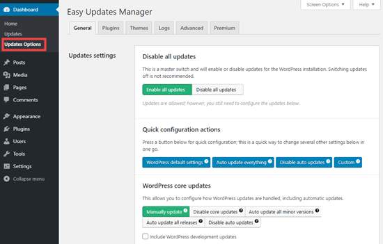 Easy Updates Manager plugin